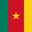 Cameroon Flag