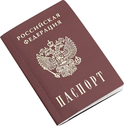 Иконка для проверки готовности Гражданства РФ
