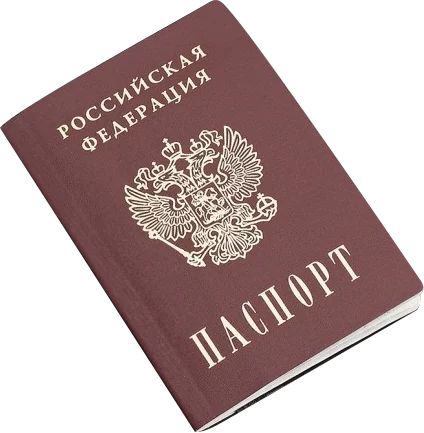 Иконка для проверки готовности Гражданства РФ